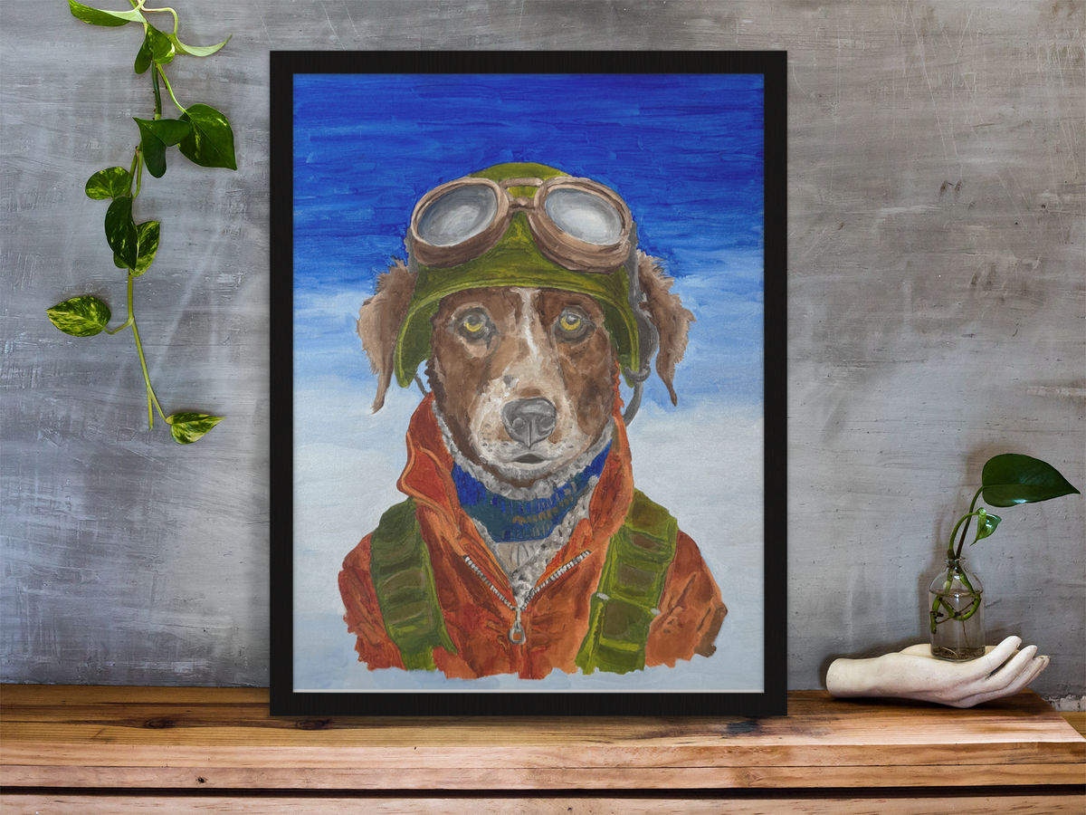 Aviator
